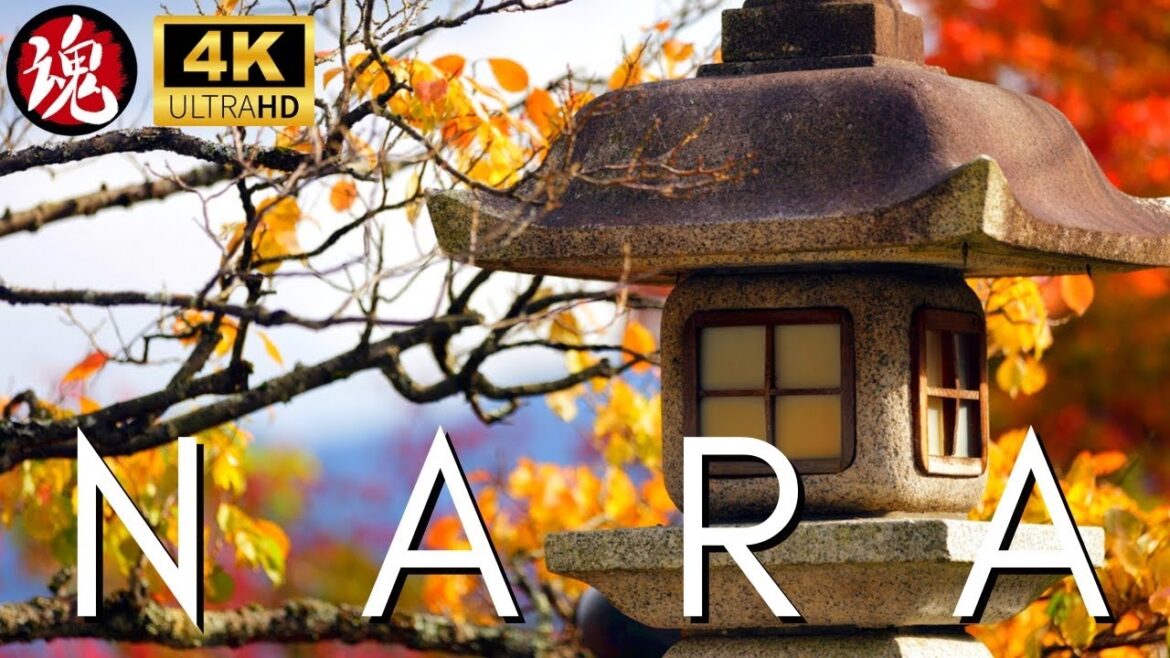 Relaxing Autumn Walk in Japan | Beautiful Nara Ancient Capital Relaxing Autumn Walk in Japan | Beautiful Nara Ancient Capital