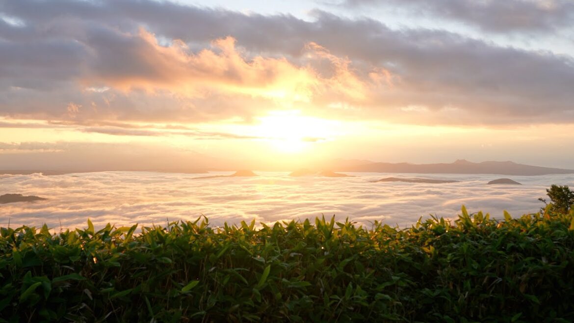 See the Sea of Clouds in Hokkaido : Van Life Vlog