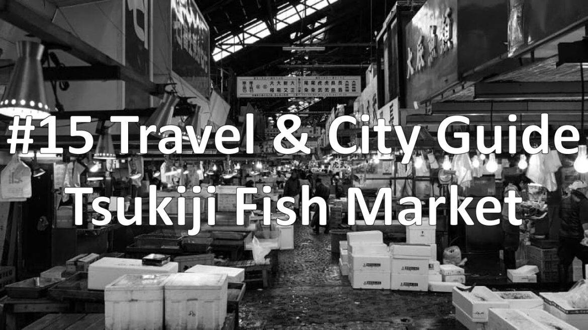 Episode 15 - Tsukiji Fish Market | Tokyo (Travel & City Guide)