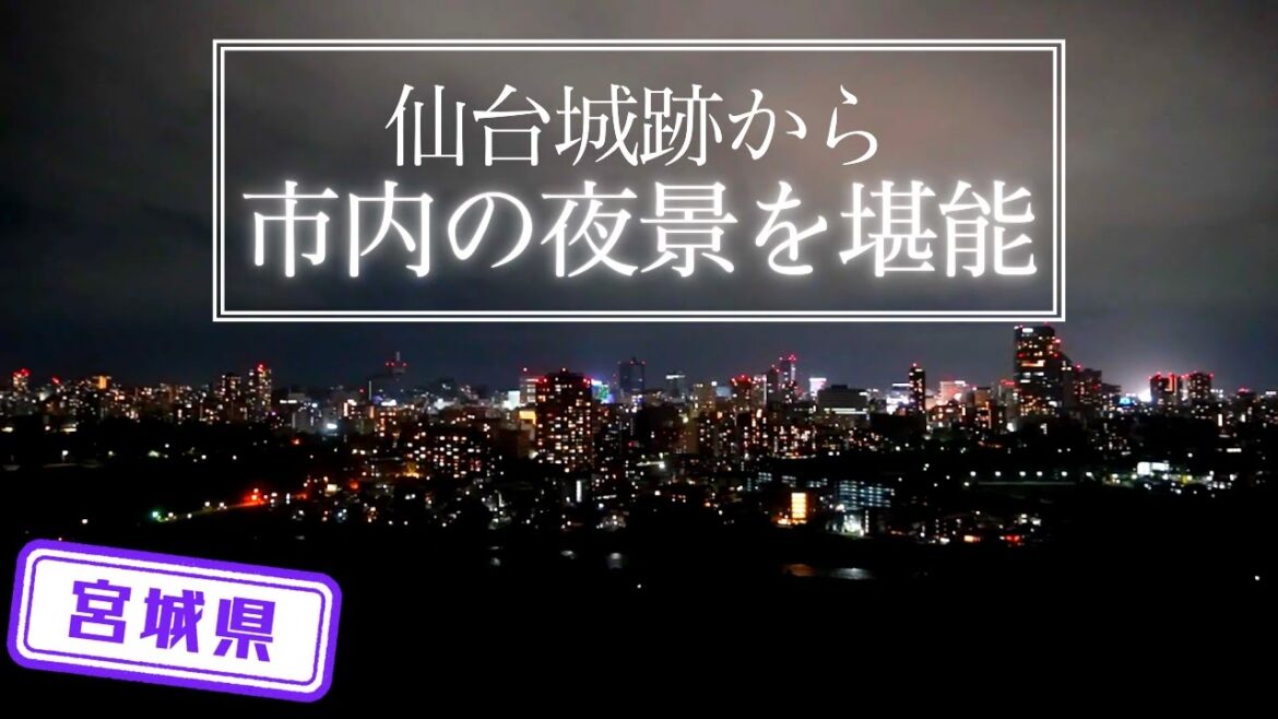 【宮城県】【仙台城】綺麗な夜景が見れる「仙台城跡」