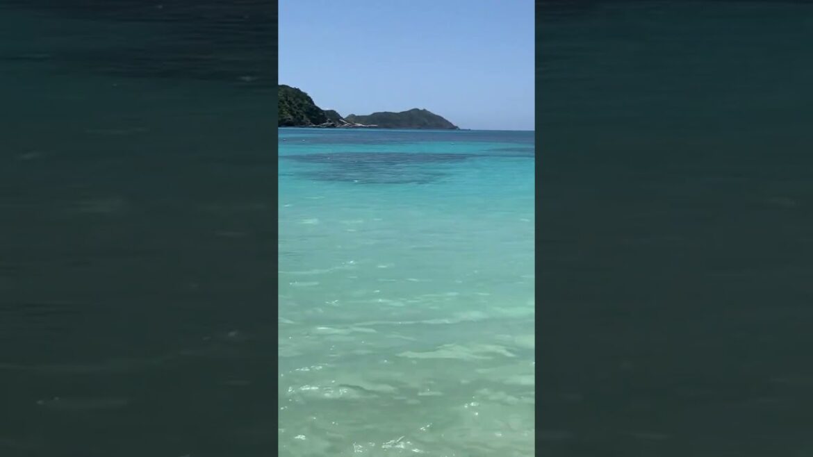 ¡Muy transparente y azul! El mar de la isla de Tokashiki: Okinawa, Japón #shorts