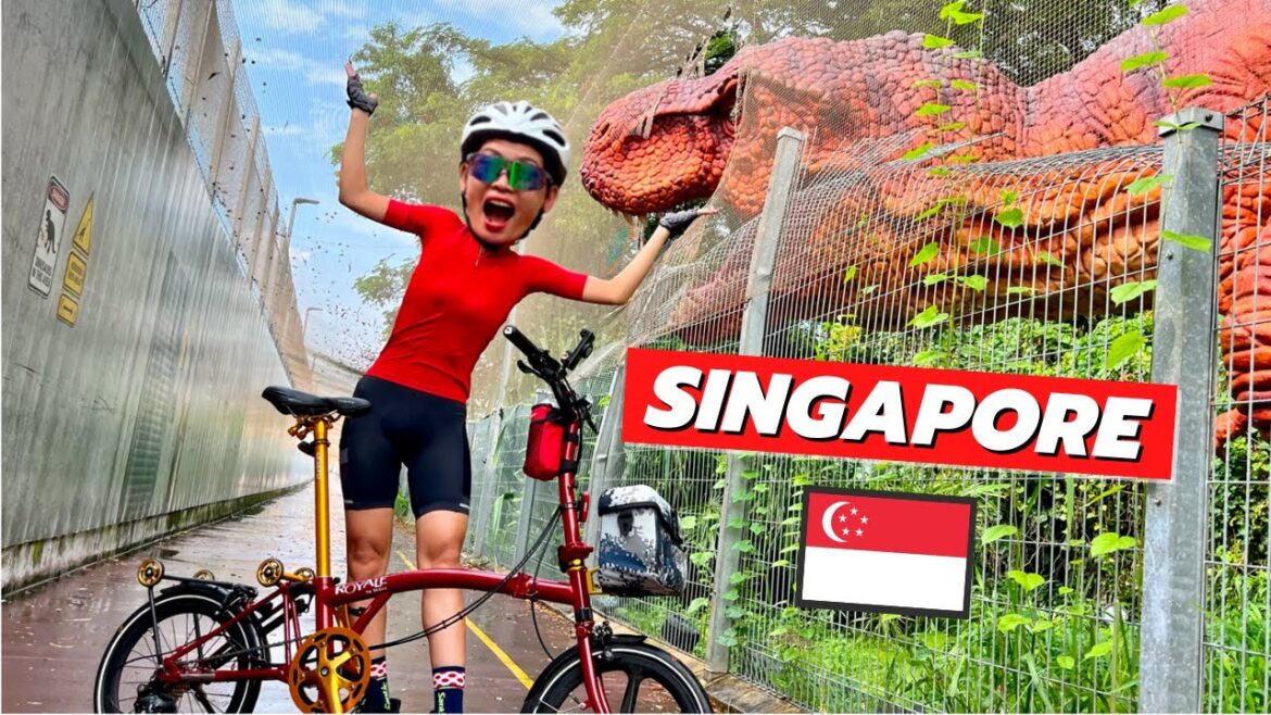 BEST OF SINGAPORE CYCLING - Marina Bay to Changi Jurassic Mile by PCN