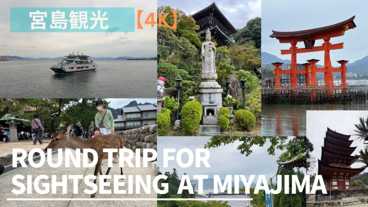 【4K】 宮島観光 Round trip for sightseeing at Miyajima Island Buddhist temple Hiroshima japan 2022 【4K】 宮島観光 Round trip for sightseeing at Miyajima Island Buddhist temple Hiroshima japan 2022