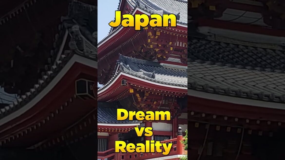 The Reality of Nara's Deer in Japan #Shorts