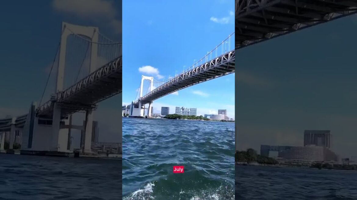 π―π΅ 12 Months in Japan in 12 shots π―π΅ 12 Months in Japan in 12 shots