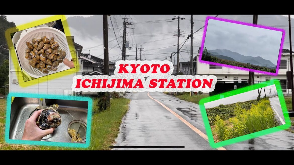 Chuyến đi Kyoto ngày mưa #nhatban