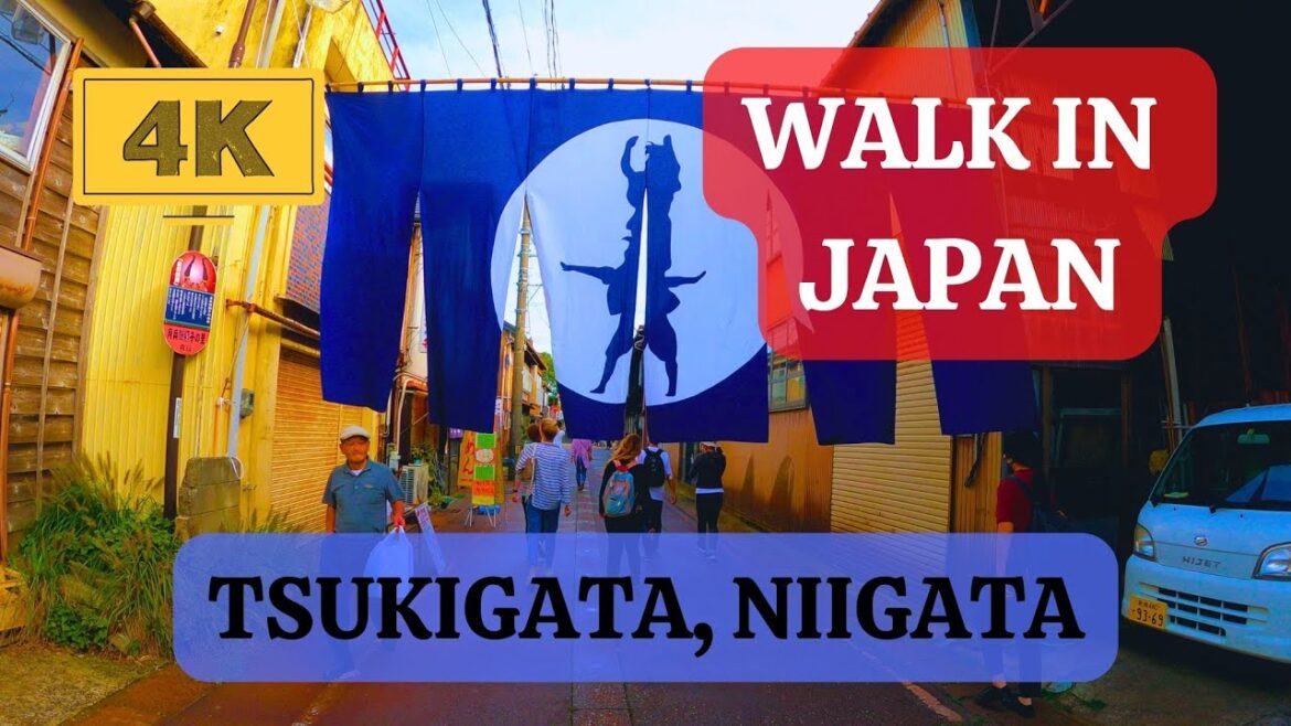 Street festival in Tsukigata – Walk in Japan (4K 60FPS) Street festival in Tsukigata - Walk in Japan (4K 60FPS)