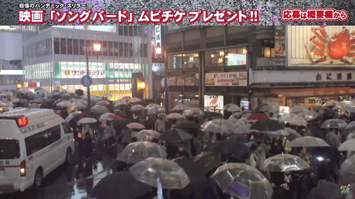 2022/10/9 大阪 道頓堀 ライブカメラ