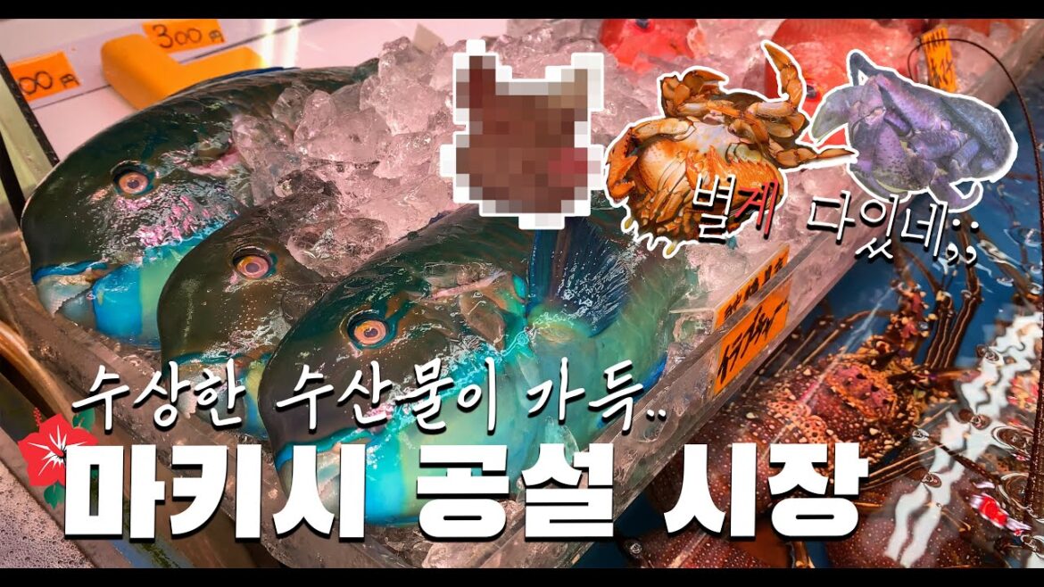 한국에서는 보기 힘든 수산물로 가득한 오키나와 마키시 시장 🌺 무비자로 오키나와의 로컬한 분위기를 느껴보자!