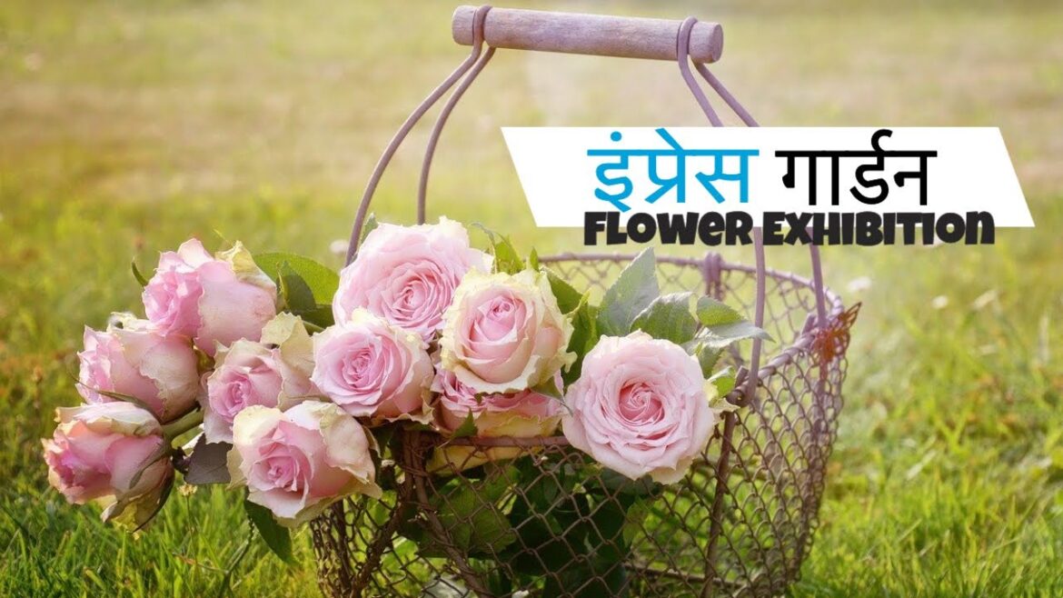 इंप्रेस गार्डन फुलांचे प्रदर्शन l Empress Garden Exhibition l Empress Botanical Garden l Pune