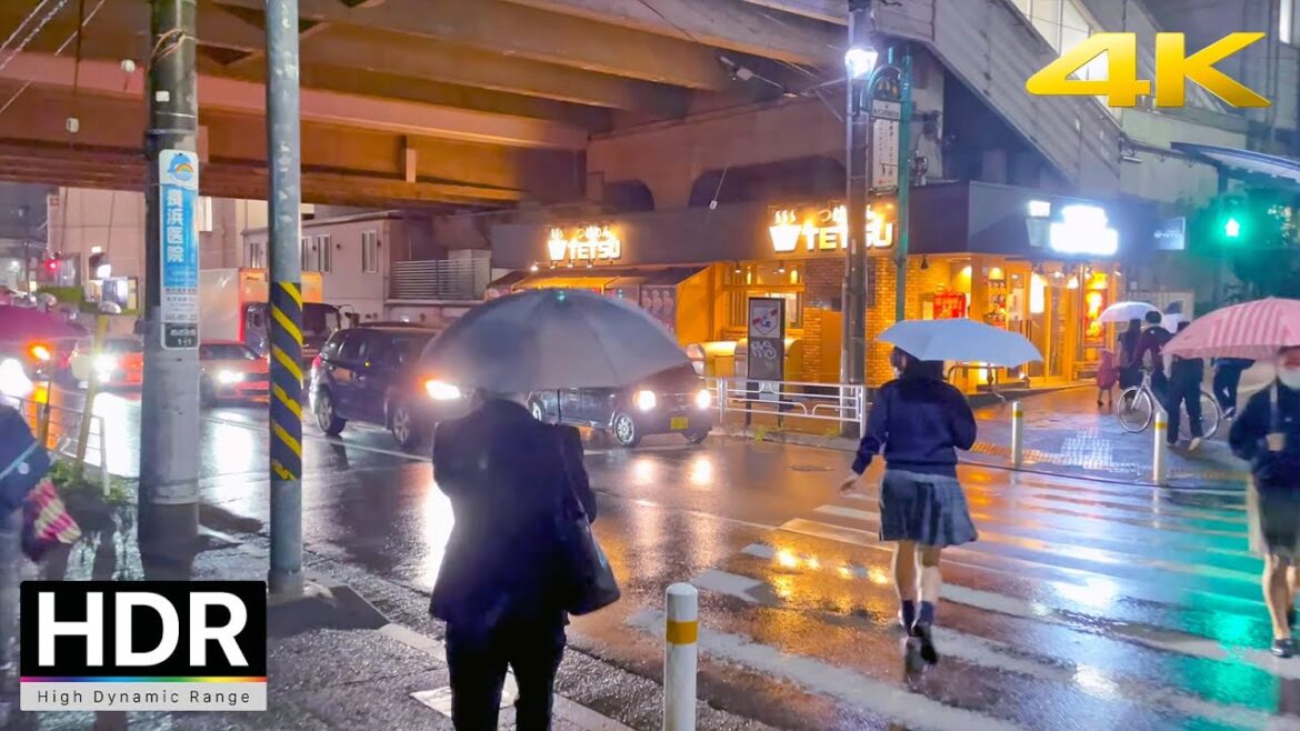 4K HDR | Japan Rainy Night Walk 4K HDR | Japan Rainy Night Walk
