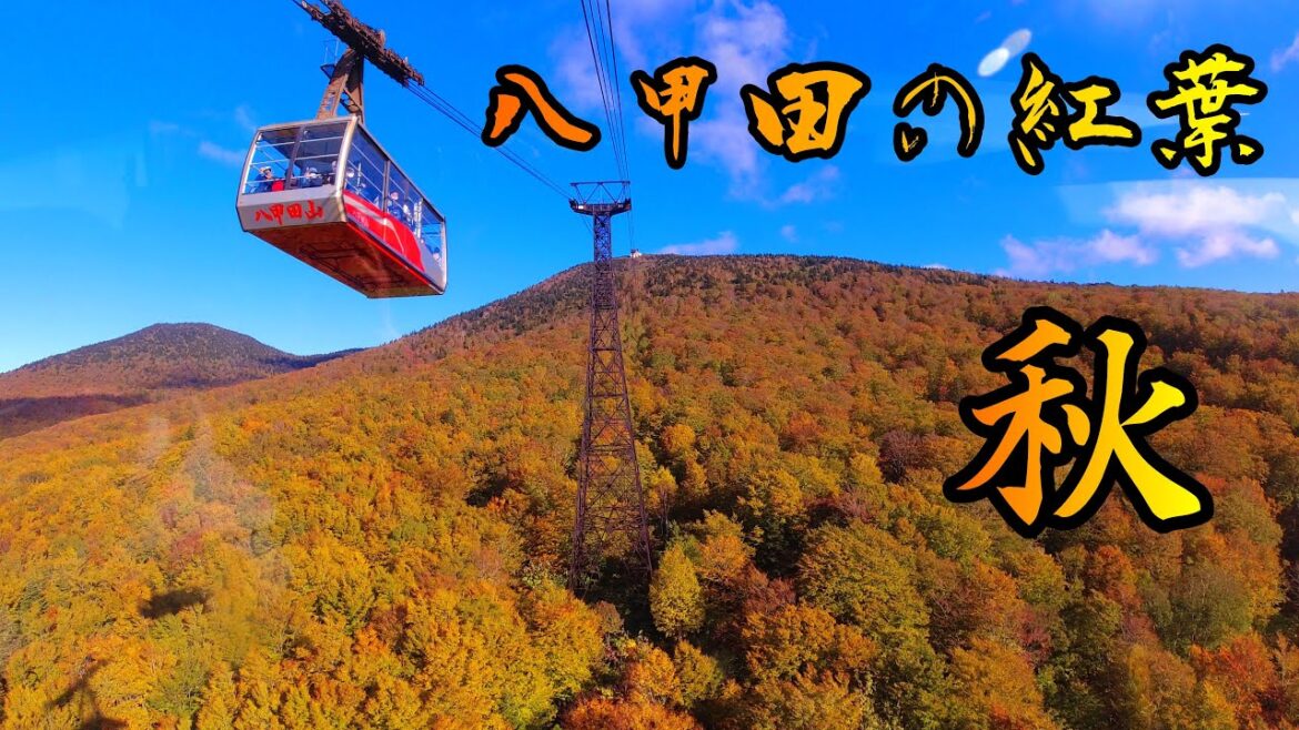 八甲田の紅葉 2022 10 13 青森県