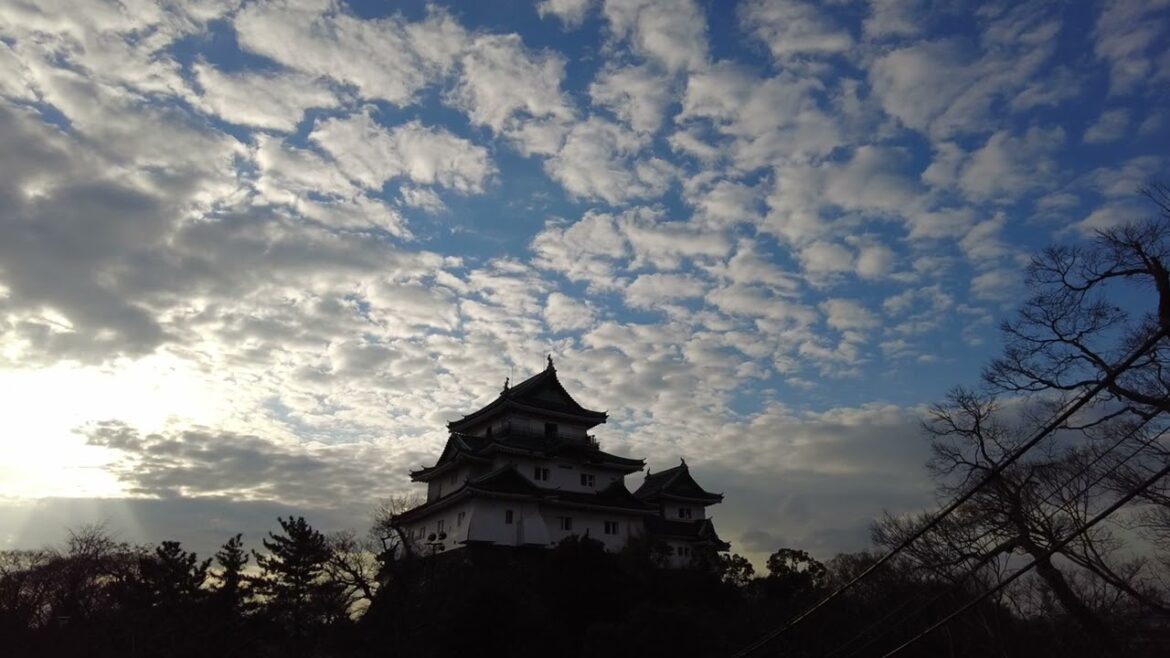 和歌山城 2022 1/16 ハイパーラプス 風景動画 4K Wakayama Castle dji