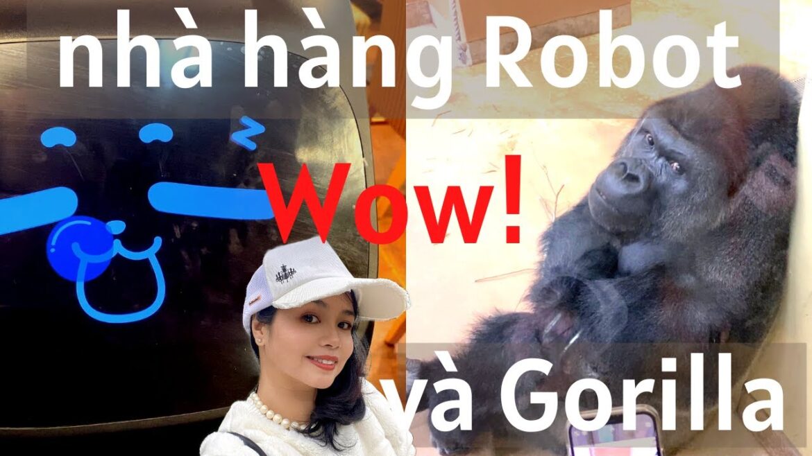 Đi sở thú ở Nagoya rất vui P2 (Wow! nhà hàng Robot và Gorilla)
