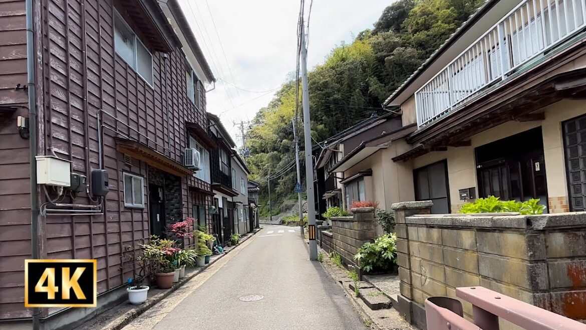 4K Japan Walk | Japanese Abandoned Houses | Countryside Village | Neighborhood Walking Tour
