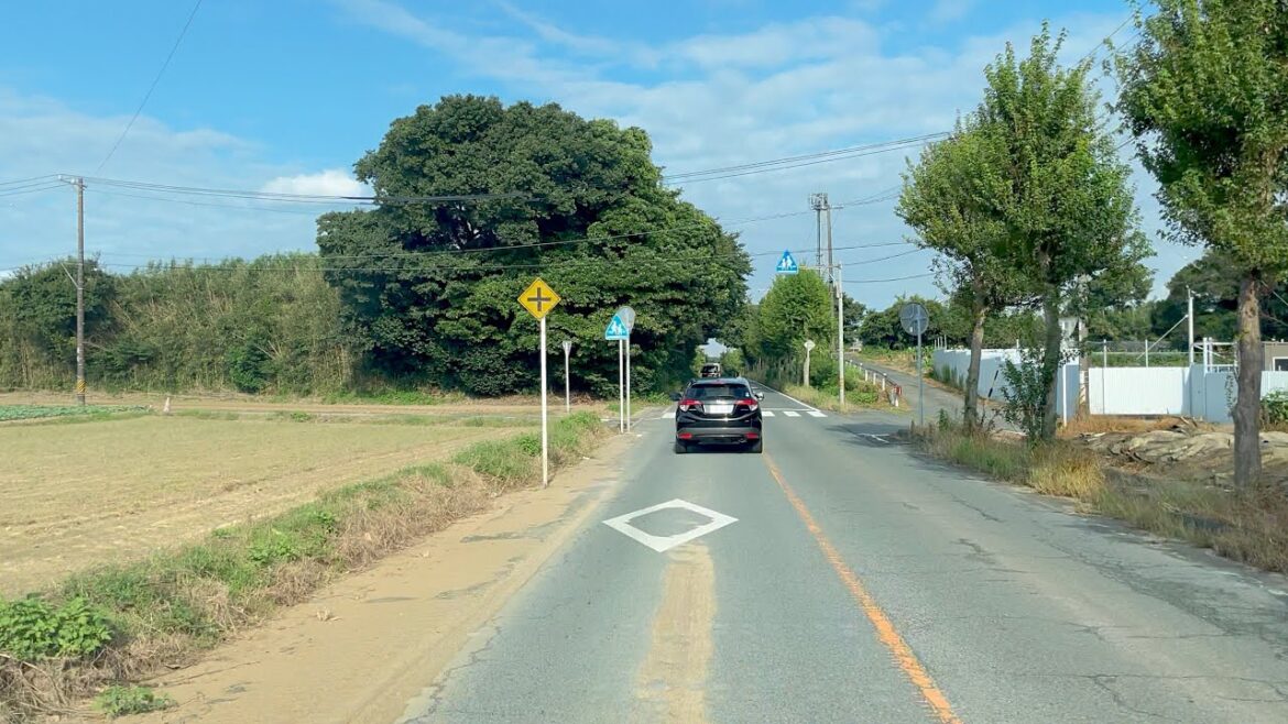 Avoiding Traffic Jam Lots of Rerouting | Aichi Japan