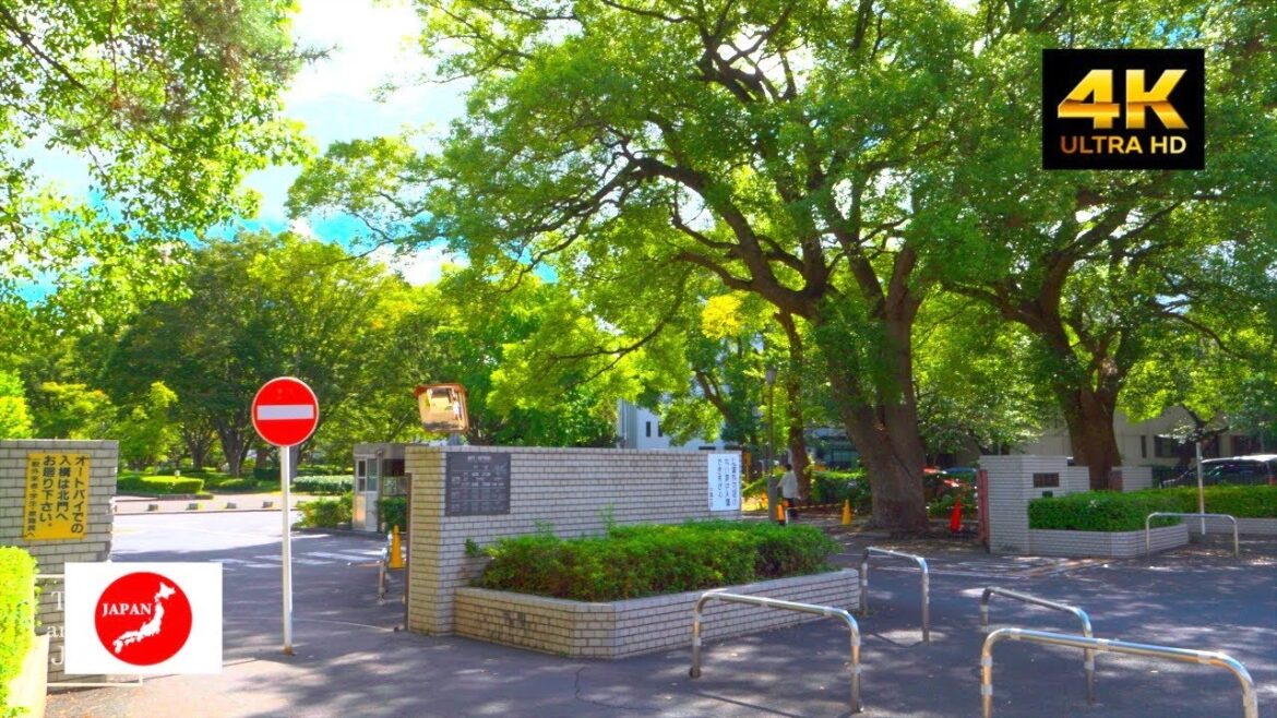 Travel around Japan 千葉大学までの行き方！最寄駅西千葉駅からの道順！