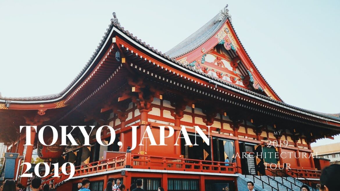 JAPAN 2019 | TRAVEL VLOG | Tokyo Disneyland | TeamLab Borderless Museum | Meiji University