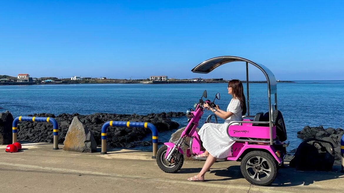 Jeju Island Vlog 🌴 Udo, Seafood Hot Pot, Abalone Porridge, Beach cafes, Beautiful Sunsets/Korea🇰🇷 Jeju Island Vlog 🌴 Udo, Seafood Hot Pot, Abalone Porridge, Beach cafes, Beautiful Sunsets/Korea🇰🇷