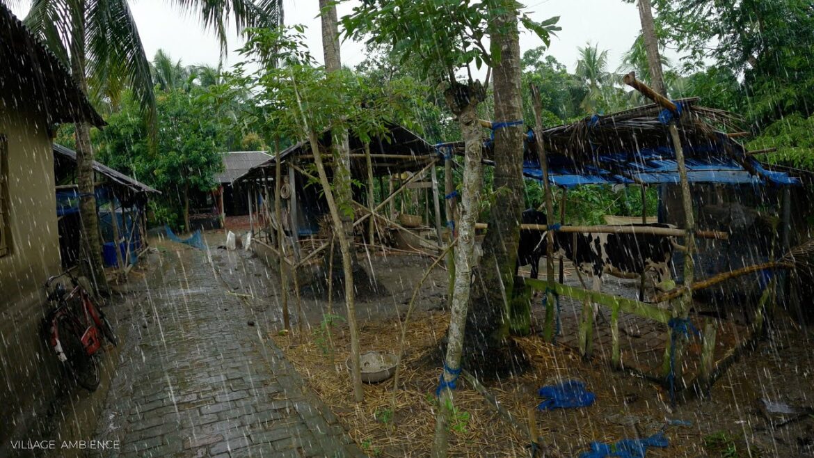 Walking In village heavy rain । Bangladeshi village rain। Beautiful Rainy Season in village #rain