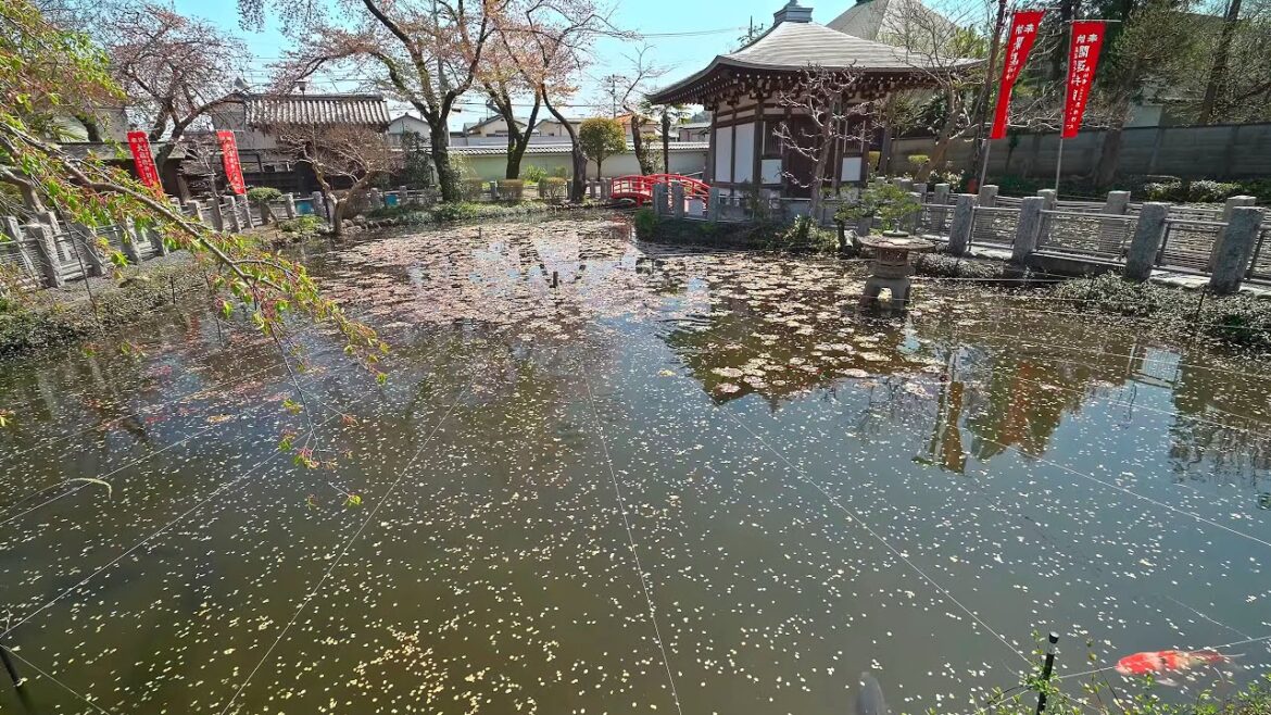 Japan – Wandering in countryside Iruma, Saitama・4K HDR Japan - Wandering in countryside Iruma, Saitama・4K HDR