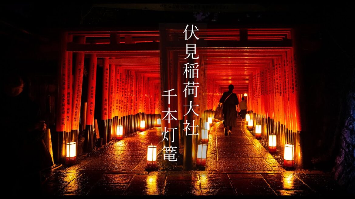 【Trip to Kyoto】伏見稲荷大社 千本灯篭|Fushimi-Inari Taisha lantern festival|4k|Kyoto| 【Trip to Kyoto】伏見稲荷大社 千本灯篭|Fushimi-Inari Taisha lantern festival|4k|Kyoto|
