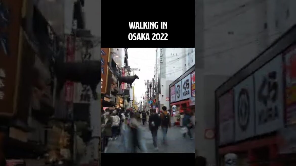 Walking in Dotonbori, Osaka, Japan