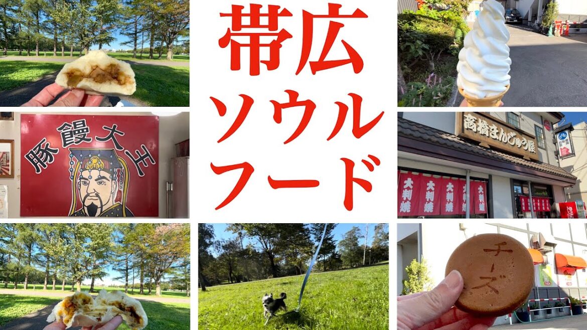 【帯広ソウルフード】全てがハイクオリティ『豚饅大王』の豚まん&地元民が続々押し寄せる『高橋まんじゅう屋』の大判焼・ソフトクリーム 帯広市民の憩いの場『緑ヶ丘公園』 【帯広ソウルフード】全てがハイクオリティ『豚饅大王』の豚まん&地元民が続々押し寄せる『高橋まんじゅう屋』の大判焼・ソフトクリーム 帯広市民の憩いの場『緑ヶ丘公園』