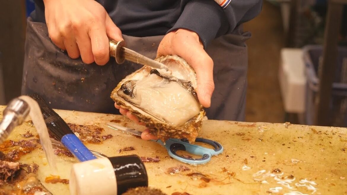 GIANT Oyster,Ark shell Sashimi－Japanese Street Food SEAFOOD