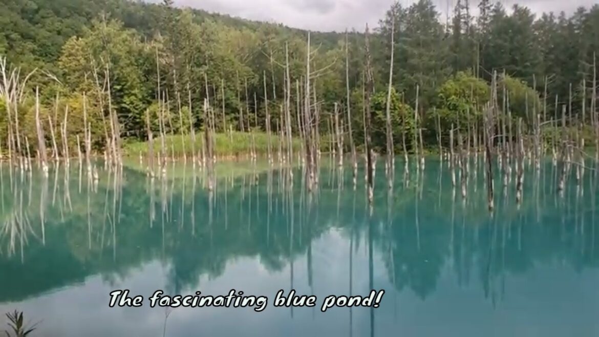 Hokkaido 6thvlog: Asahikawa