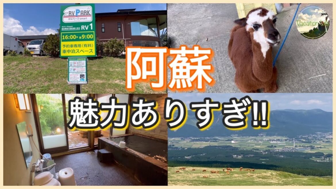 阿蘇を楽しむならここ！快適な車中泊スポット、貸切家族温泉、道の駅、一日中楽しめる動物園！