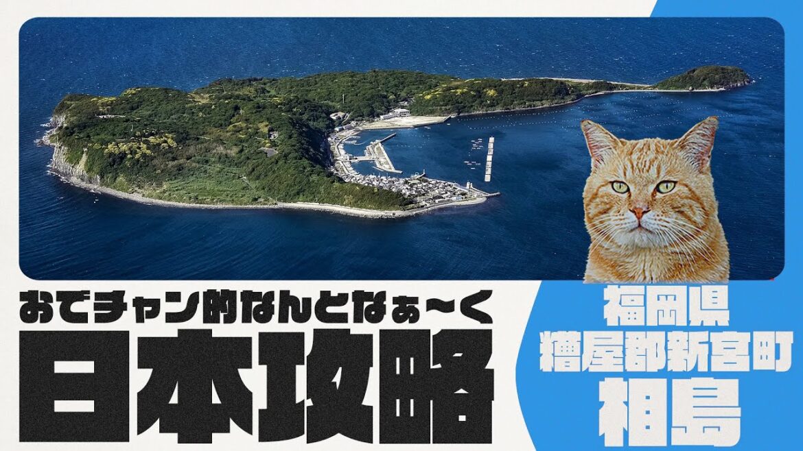 【JAPON】Ainoshima/Île des chats