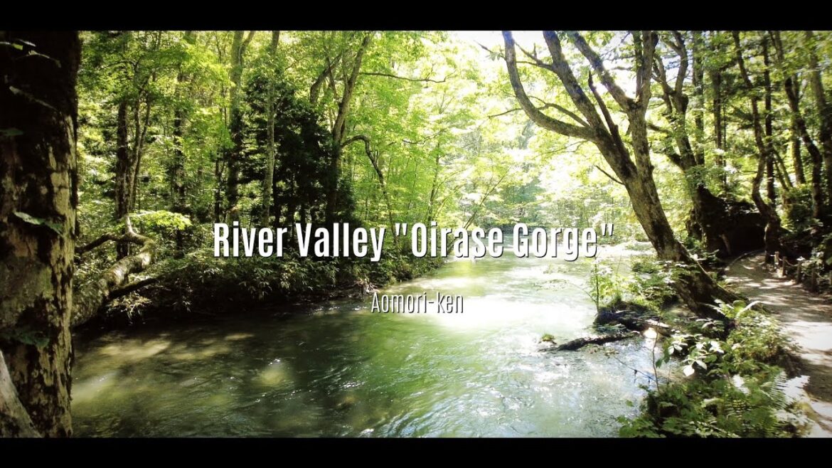 River Valley "Oirase Gorge", at Lake Towada, Aomori-ken.
