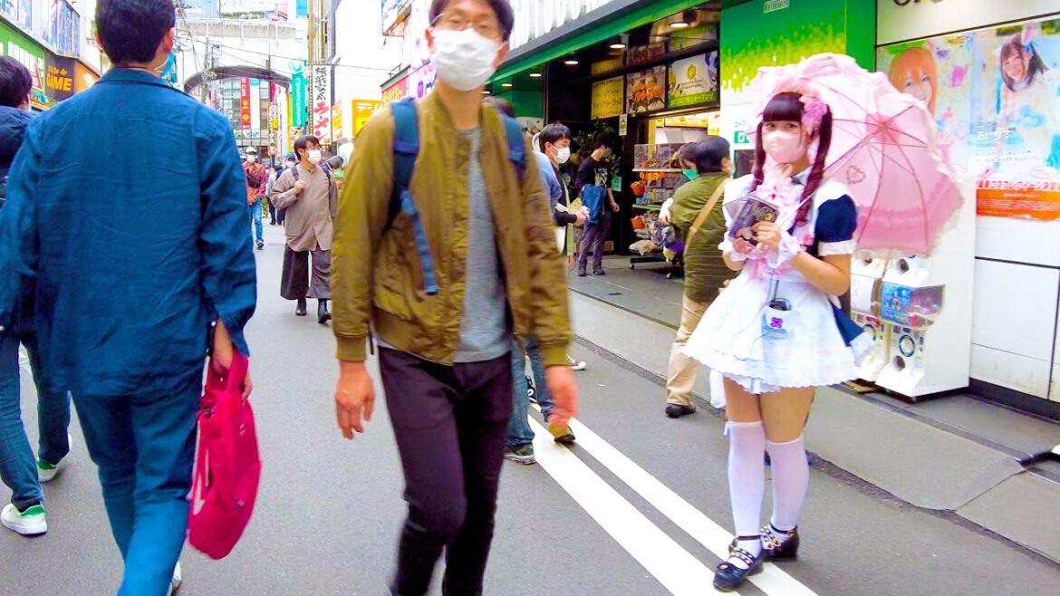 Akihabara in Tokyo is a maid cafe town โช๐๐ถ4K ASMR non-stop 1 hour 02 minutes Akihabara in Tokyo is a maid cafe town โช๐๐ถ4K ASMR non-stop 1 hour 02 minutes