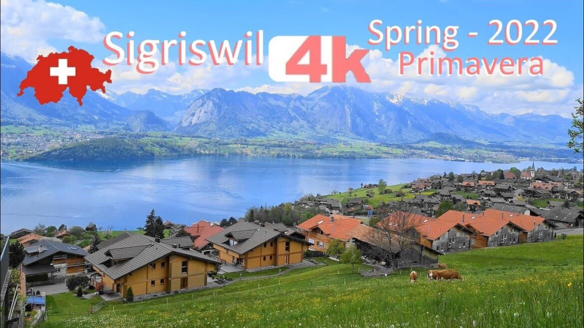 SWITZERLAND – SIGRISWIL – PART 2 – INTERLAKEN in Spring -Walking Tour beautiful villages- SUIZA – 4k SWITZERLAND - SIGRISWIL - PART 2 - INTERLAKEN in Spring -Walking Tour beautiful villages- SUIZA - 4k