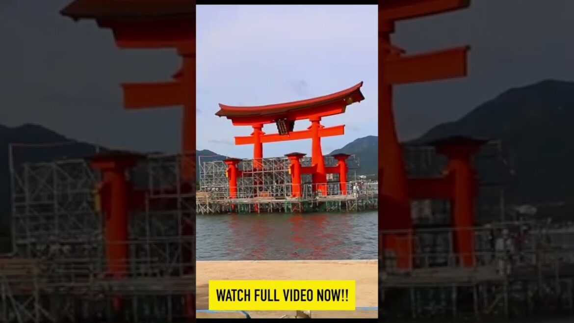 JAPAN 🇯🇵 IS OPEN!! Watch my tour of Hiroshima! JAPAN 🇯🇵 IS OPEN!! Watch my tour of Hiroshima!