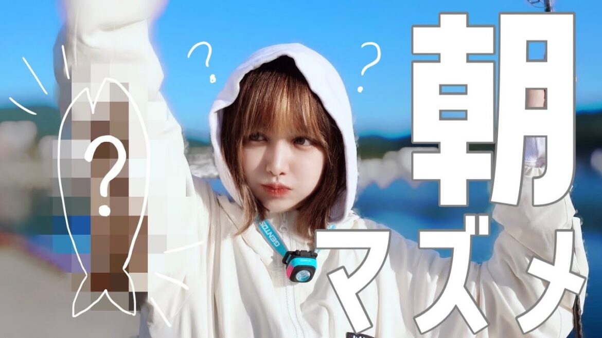 【堤防釣り】朝マズメで危険生物釣れた🥊【初心者釣り女子】【ぶっこみ釣り】 【堤防釣り】朝マズメで危険生物釣れた🥊【初心者釣り女子】【ぶっこみ釣り】