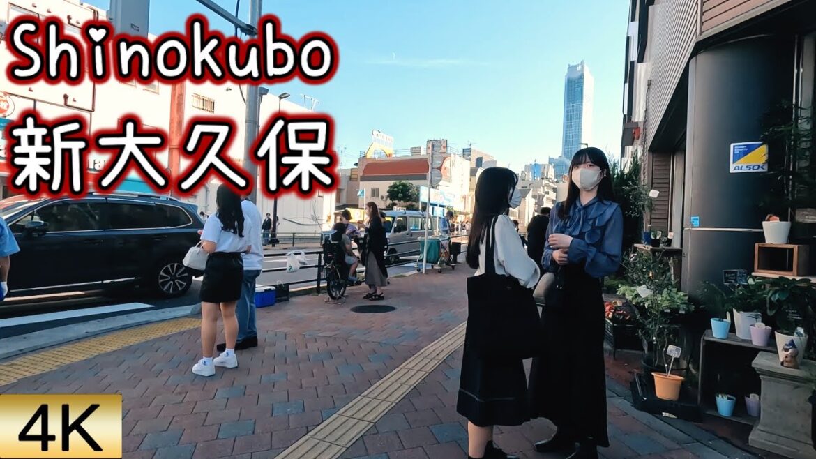 【Shinokubo 新大久保】 Walk in Tokyo Japan 【4K60fps】