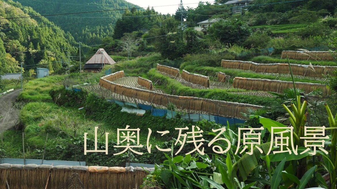 和歌山の山奥に残る日本の原風景【田舎の風景 125cc旅】Japan's original scenery remaining deep in the mountains