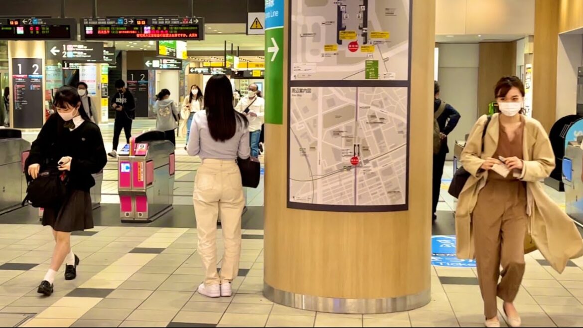 [JAPAN/Kanagawa]Musashi-Kosugi walking scenery[Kawasaki]