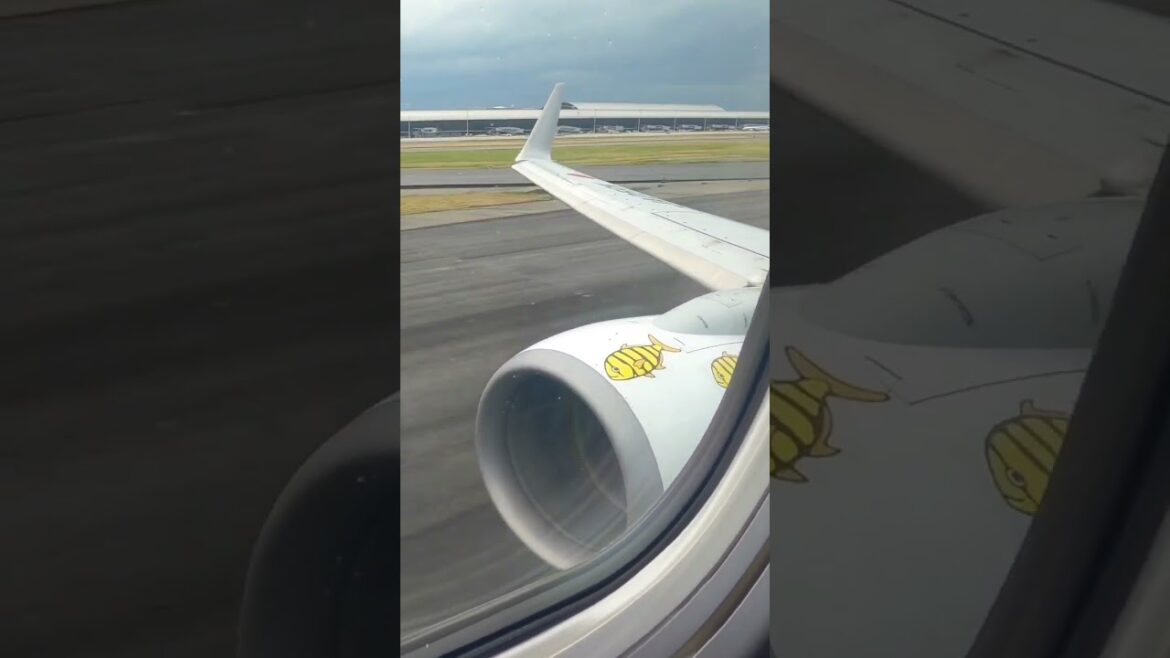 日本トランスオーシャン航空 ボーイング737 ジンベエジェット✈️石垣島へ向けて関西国際空港より離陸! #shorts #jal #departure #飛行機 #タイムラプス 日本トランスオーシャン航空 ボーイング737 ジンベエジェット✈️石垣島へ向けて関西国際空港より離陸! #shorts #jal #departure #飛行機 #タイムラプス