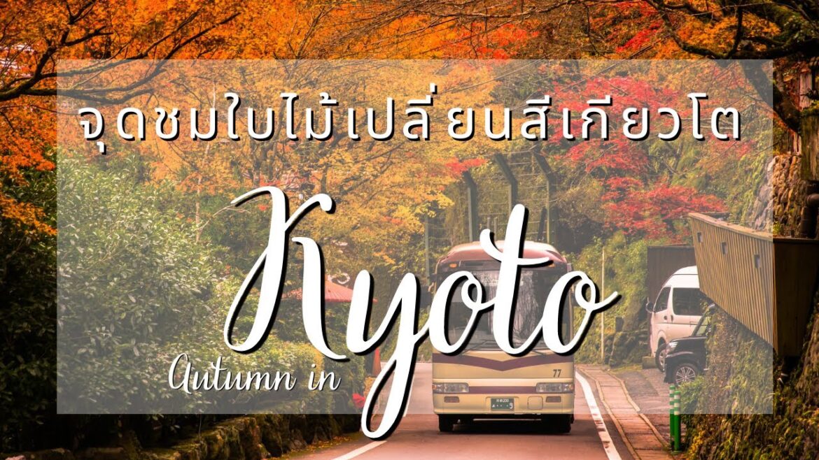 จุดชมใบไม้เปลี่ยนสีในเกียวโต Autumn in Kyoto | See You Japan