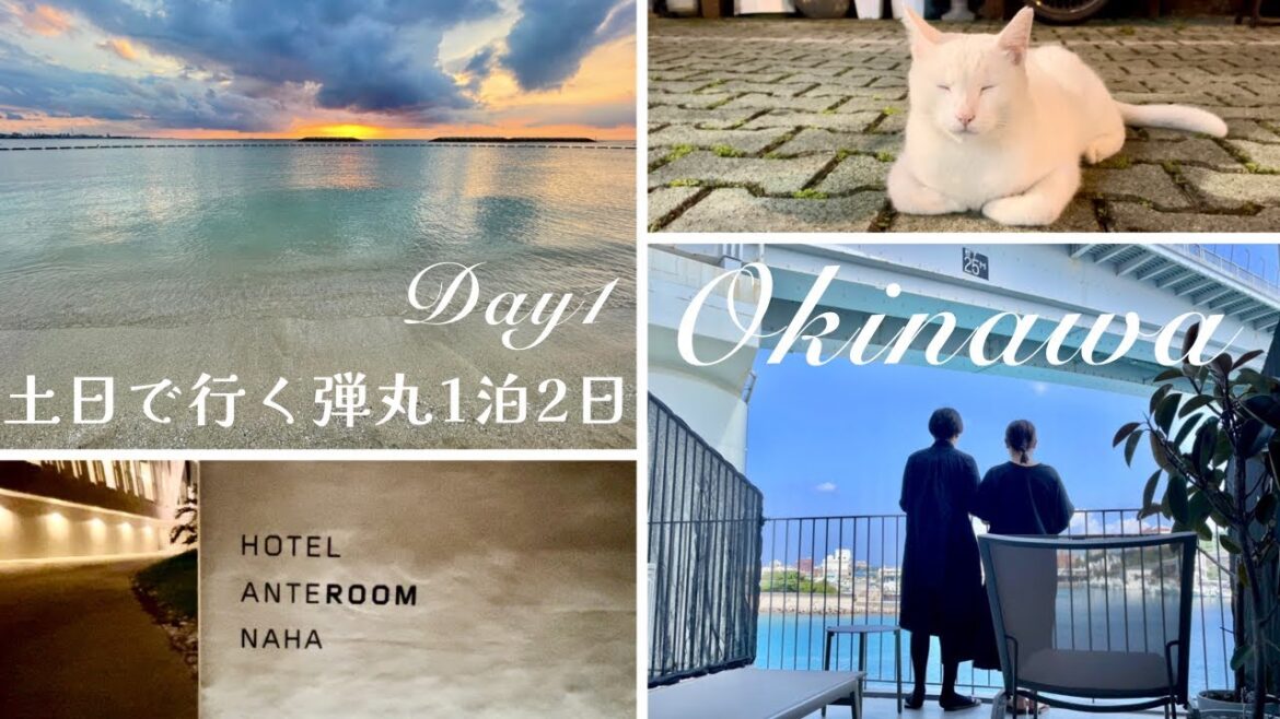 【沖縄*土日で行く弾丸旅行】沖縄カフェ|沖縄グルメ|おしゃれホテル|遊び尽くした1泊2日 沖縄旅行*1日目 【沖縄*土日で行く弾丸旅行】沖縄カフェ|沖縄グルメ|おしゃれホテル|遊び尽くした1泊2日 沖縄旅行*1日目