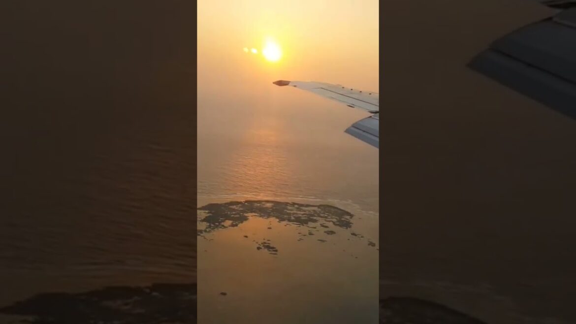 宮古島から羽田へ向かう時の夕日 #shorts