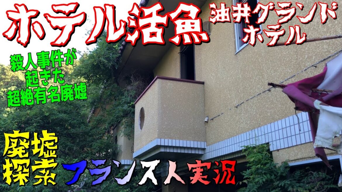 殺人事件の現場だった激怖い廃墟「ホテル活魚」🏚️廃墟探索🔦 殺人事件の現場だった激怖い廃墟「ホテル活魚」🏚️廃墟探索🔦