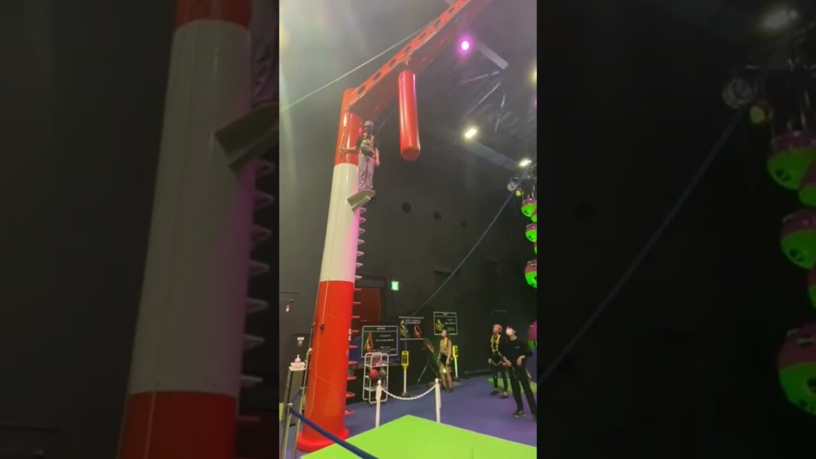 So I did a thing today...