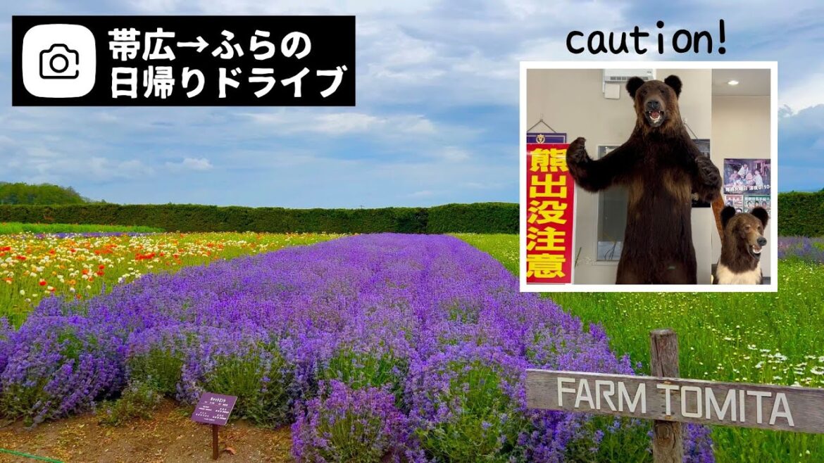 ソロタビ！帯広から富良野へドライブ｜羽田発エアドゥ｜