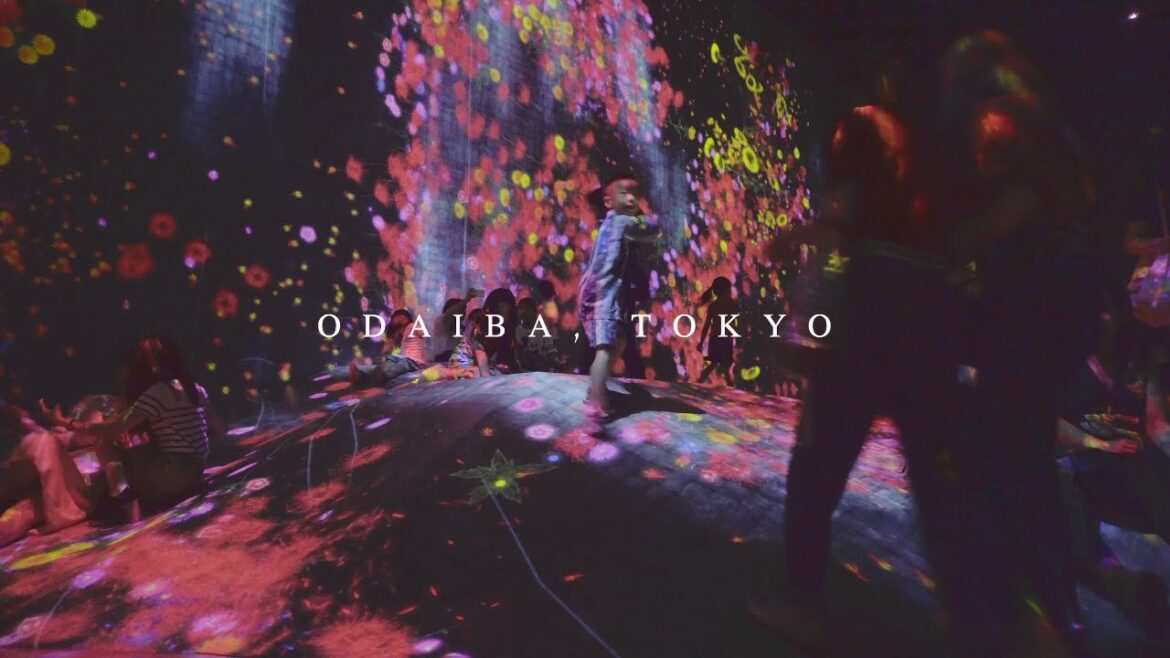 Teamlab cherry blossoms in 4K- Odaiba Tokyo - Japan Travel Guide