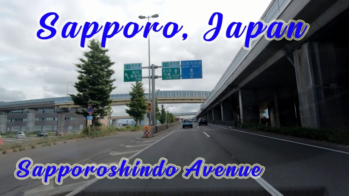 SAPPORO! Drive in Hokkaido, Japan. Sapporoshindo Avenue.