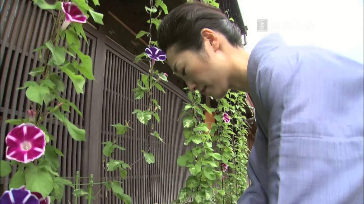 JAPAN FACTFILE: Morning Glory Market